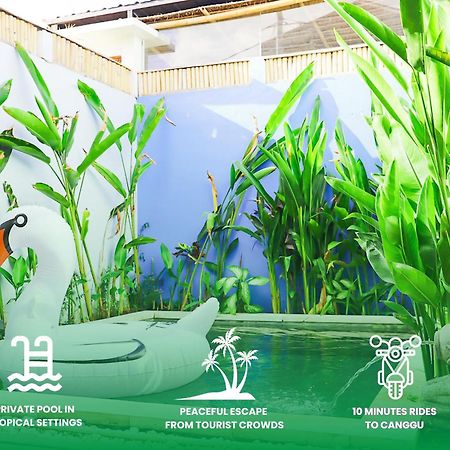Peacock Private Pool Paradise Dalung  外观 照片