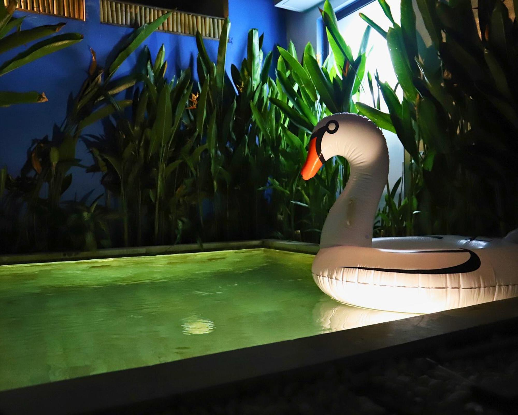 Peacock Private Pool Paradise Dalung  外观 照片