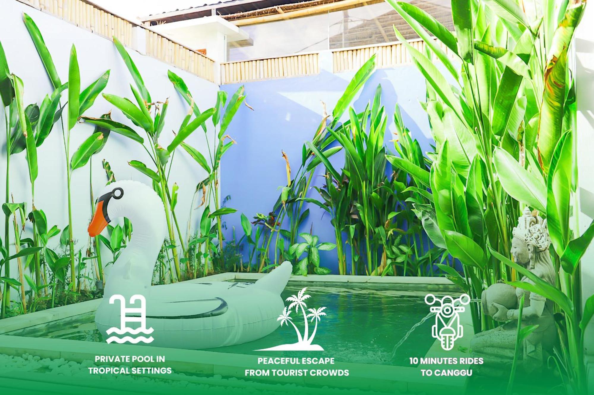 Peacock Private Pool Paradise Dalung  外观 照片